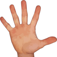 people & Fingers free transparent png image.