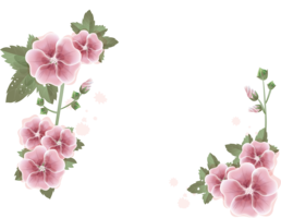 flowers & Floral frame free transparent png image.