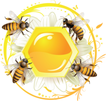 food & honey free transparent png image.