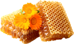 food & honey free transparent png image.