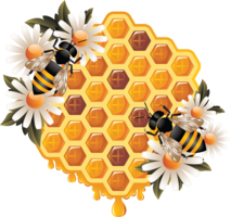 food & Honey free transparent png image.