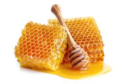 food & Honey free transparent png image.