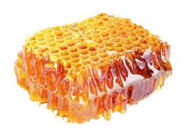 food & Honey free transparent png image.