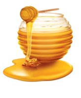 Honey&food png image