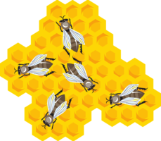 food & Honey free transparent png image.