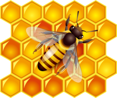 food & Honey free transparent png image.