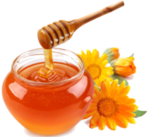 food & Honey free transparent png image.