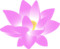 flowers & sacred lotus free transparent png image.