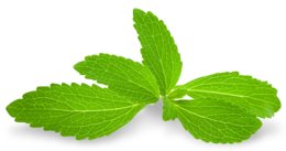 nature & Peppermint free transparent png image.