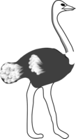 animals & Ostrich free transparent png image.