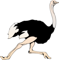 animals & Ostrich free transparent png image.