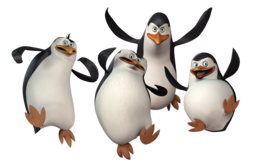 animals & Penguins free transparent png image.