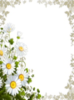 miscellaneous & Picture photo frame free transparent png image.