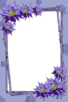 miscellaneous & Picture photo frame free transparent png image.