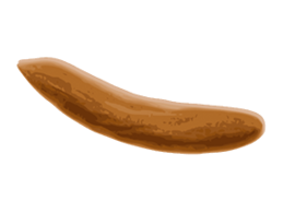 miscellaneous & Poop free transparent png image.