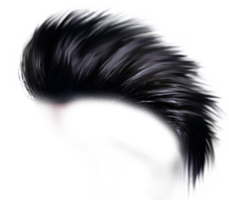 miscellaneous & Punk rock free transparent png image.