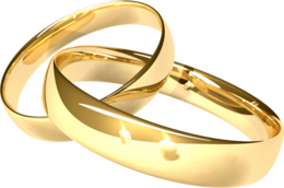 jewelry & Ring free transparent png image.