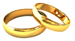 jewelry & Ring free transparent png image.