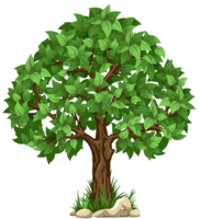 nature & tree free transparent png image.