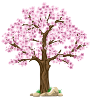 nature & tree free transparent png image.