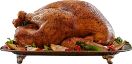 food & Turkey meat free transparent png image.